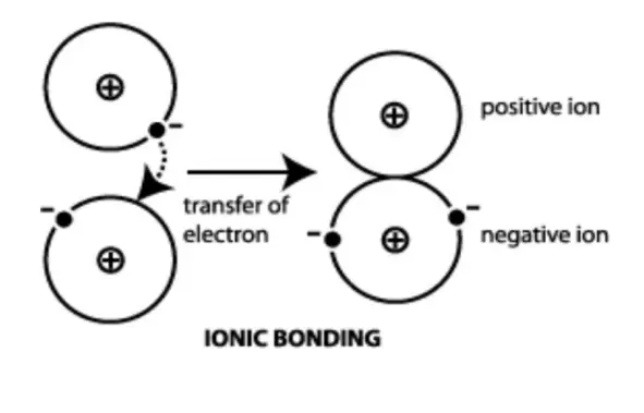 Synthetic Elements, Molecules, and Chemical Bonding