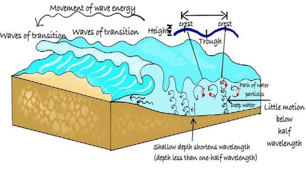 Action of Seawater