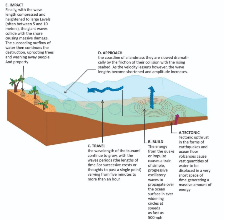 Consequences of Earthquakes