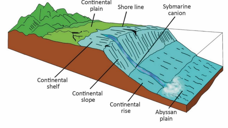 Ocean Relief – Major Divisions of the Ocean Floor