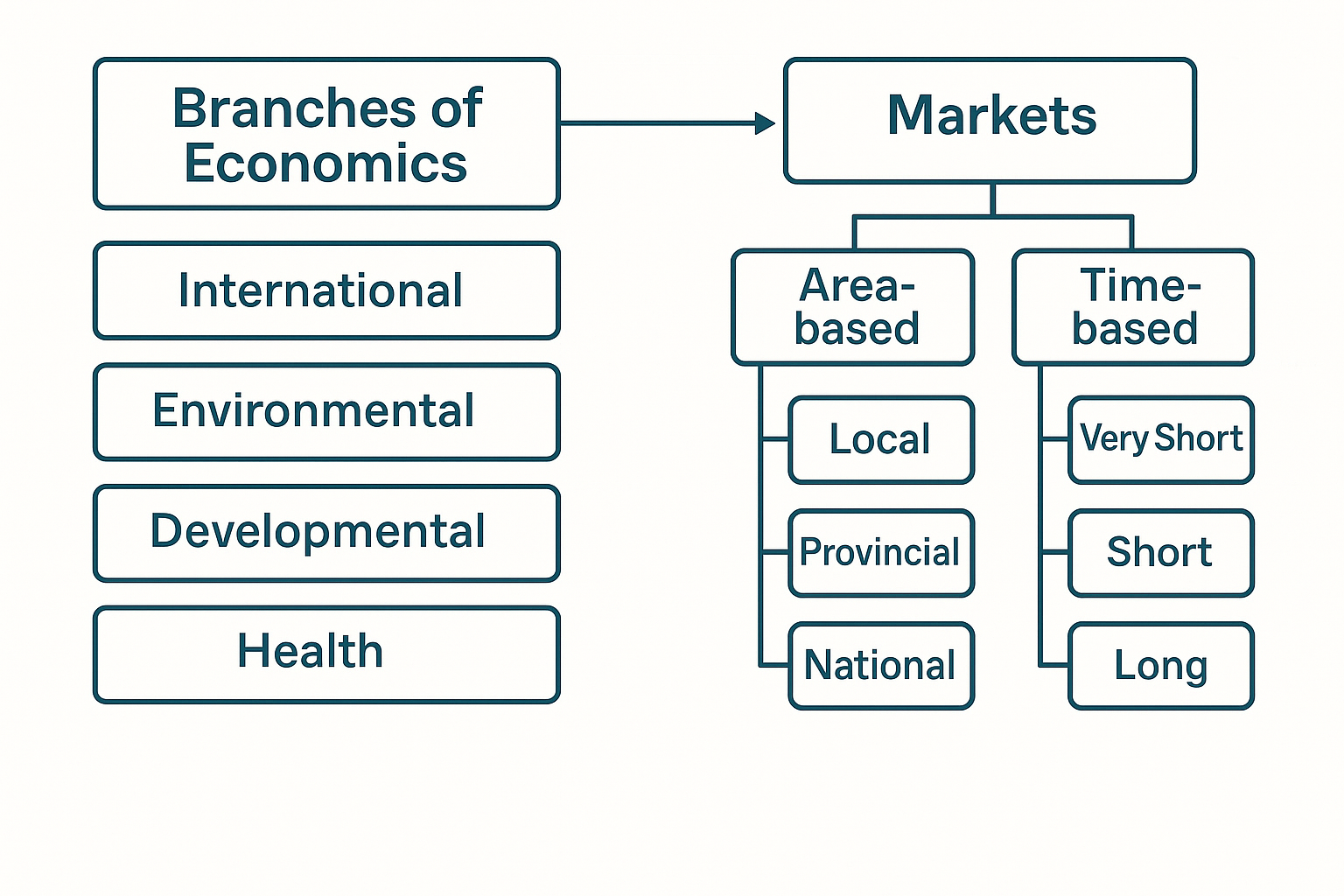 New Branches in Economics and Market