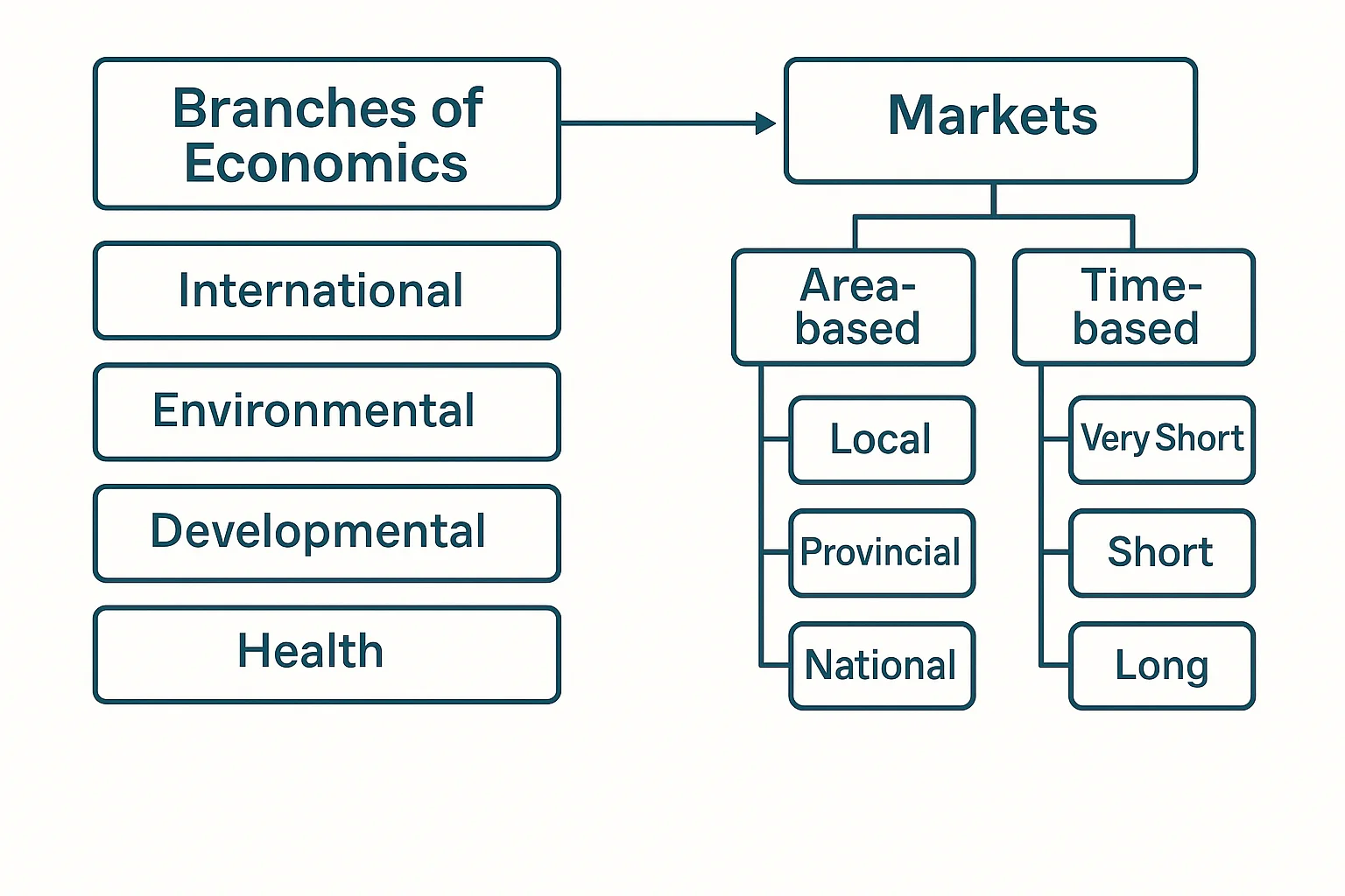 New Branches in Economics and Market