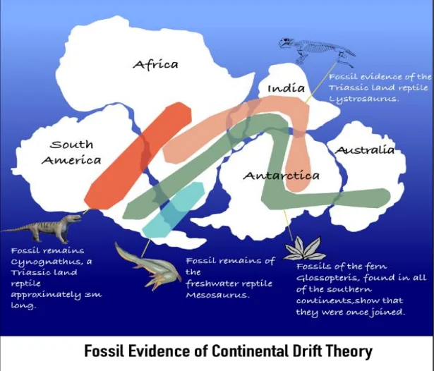 Evidence Supporting the Continental Drift Theory