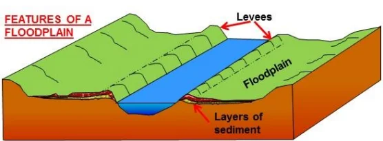 River Transportation and Depositional Landforms: Explained for Beginners