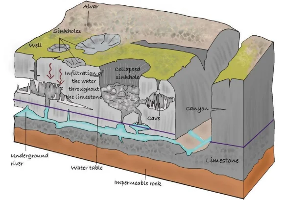 ⛰️ Karst Erosional Landforms: Sculpting by Chemical Dissolution