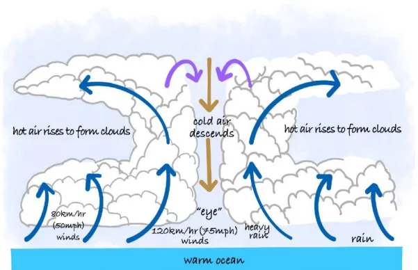 Structure and Life Cycle of a Tropical Cyclone
