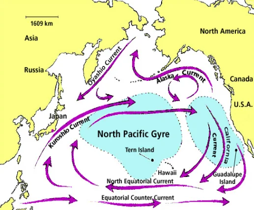 South Atlantic and Pacific Ocean Circulation