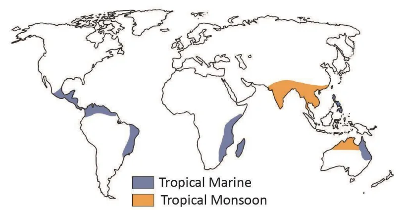 Tropical Monsoon and Tropical Marine Climates (Beginner's Guide)