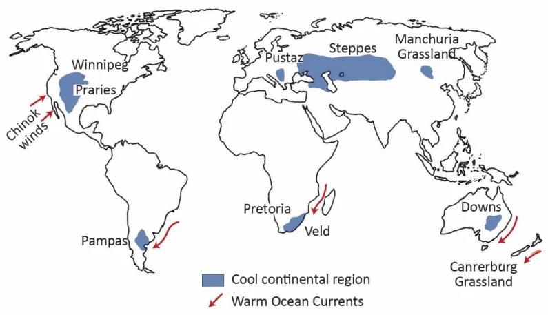 Temperate Continental (Steppe) Climate (Beginner's Guide)