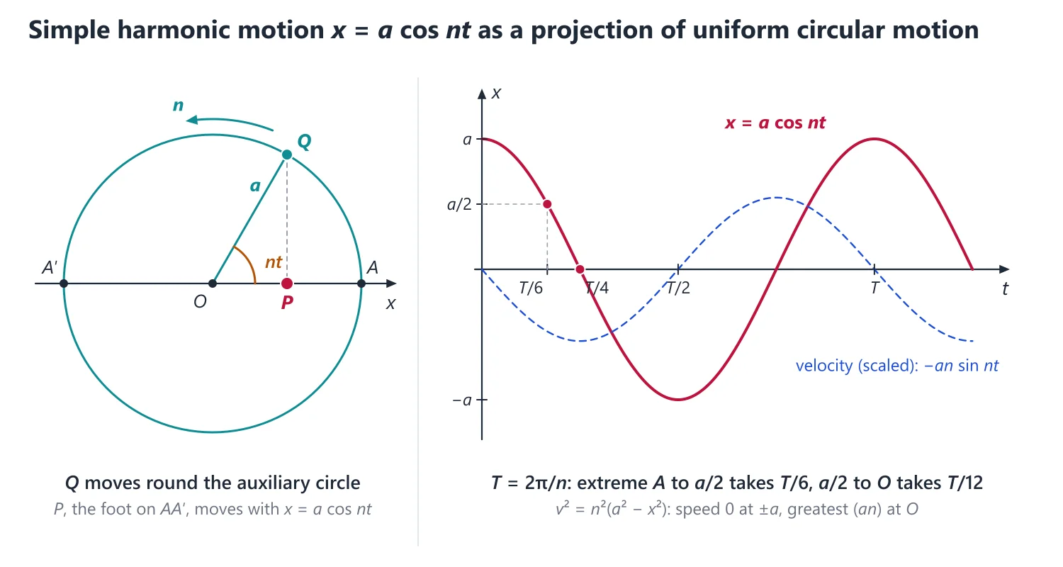 Rectilinear Motion and Simple Harmonic Motion