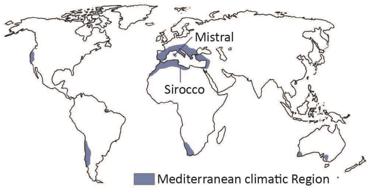 Warm Temperate Western Margin (Mediterranean) Climate
