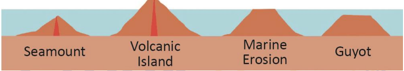 Minor Relief Features of the Ocean Floor
