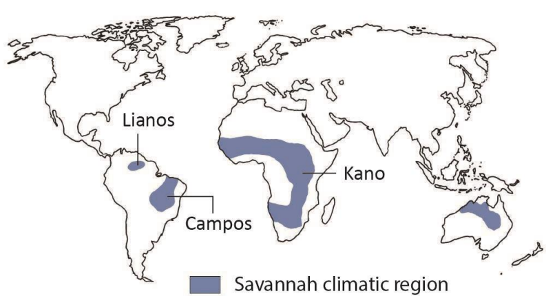 Savannah or Sudan Climate