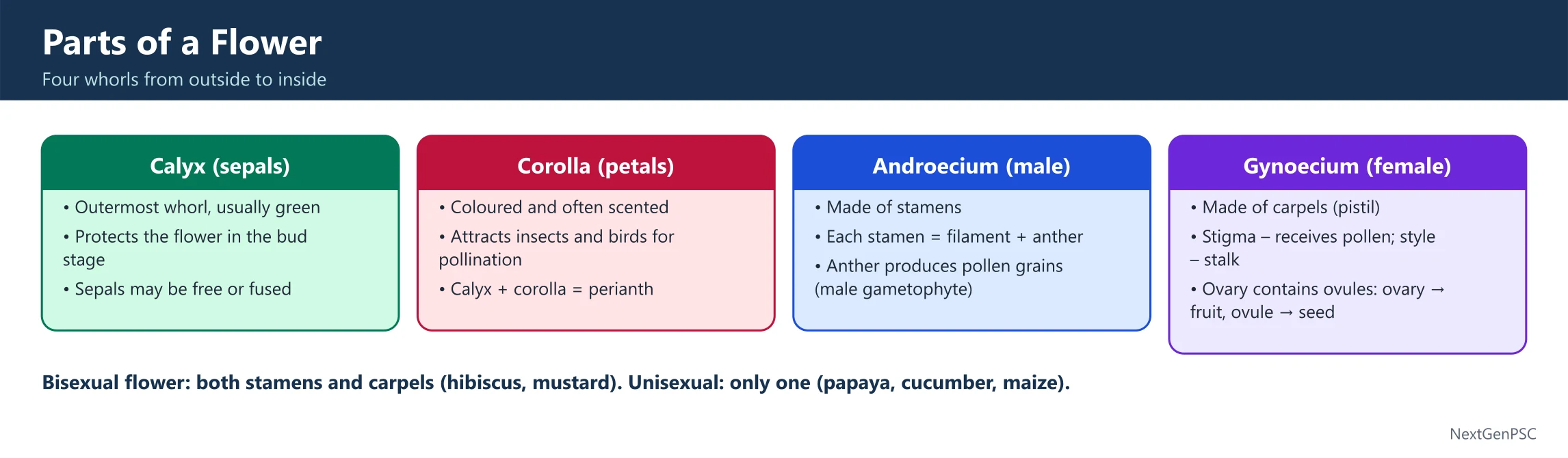 The Flower: Reproductive Anatomy and Function