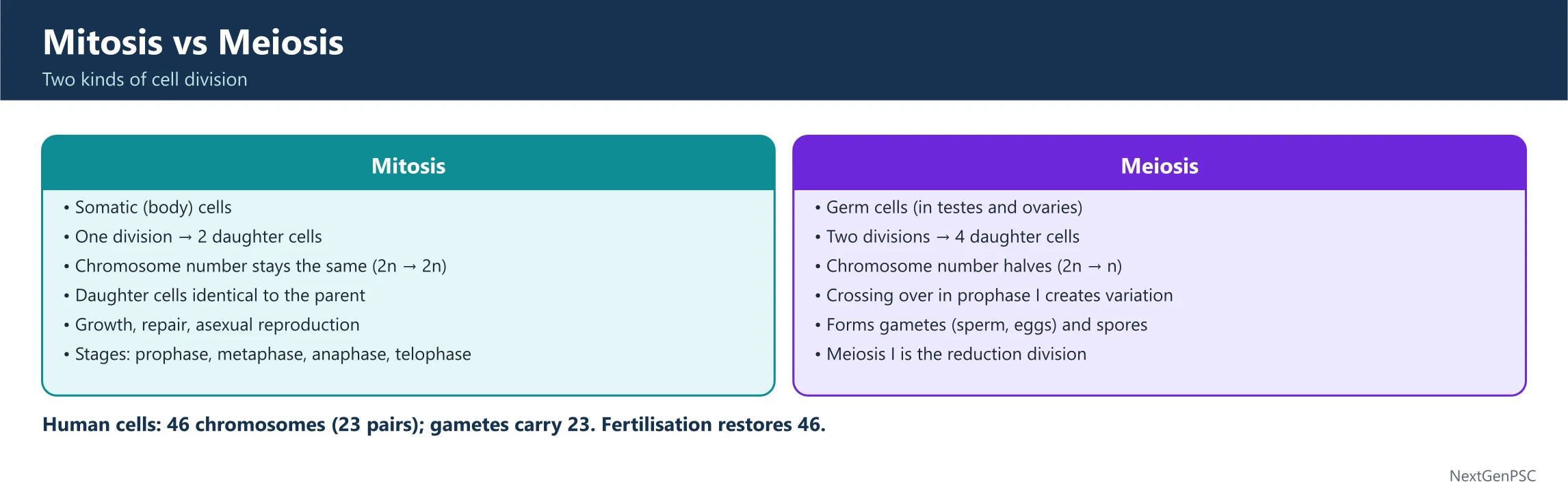 Cell Biology: The Fundamental Unit of Life