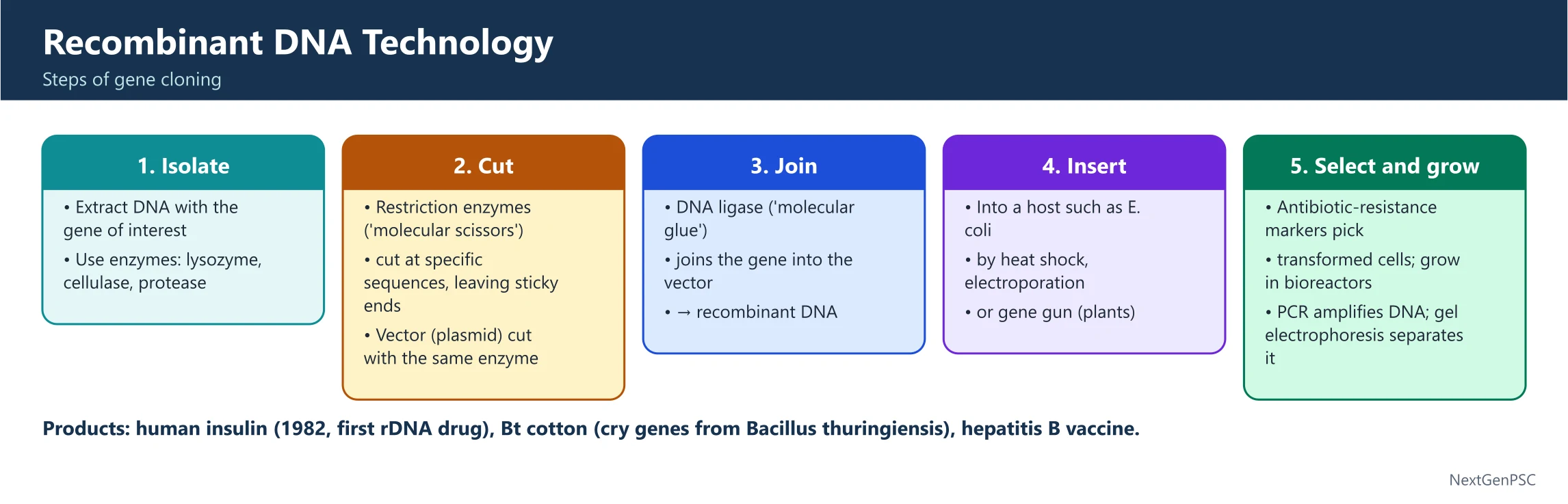 Recombinant DNA: The 'Cut and Paste' of Life