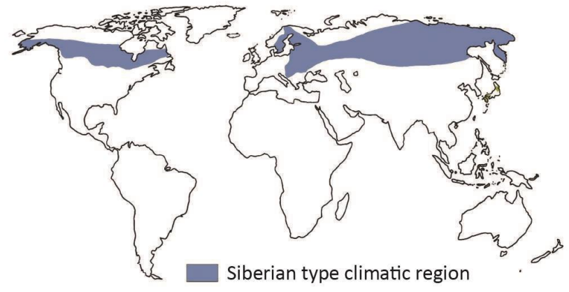 Cool Temperate Continental (Siberian) Climate
