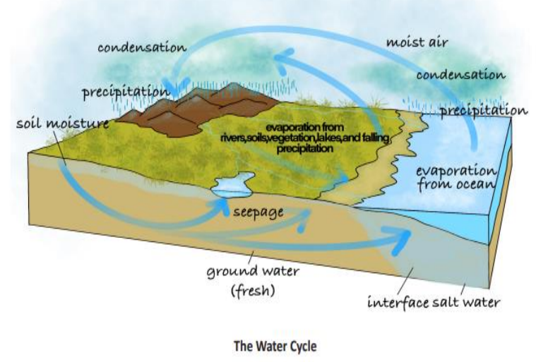 Atmospheric Moisture – Hydrological Cycle