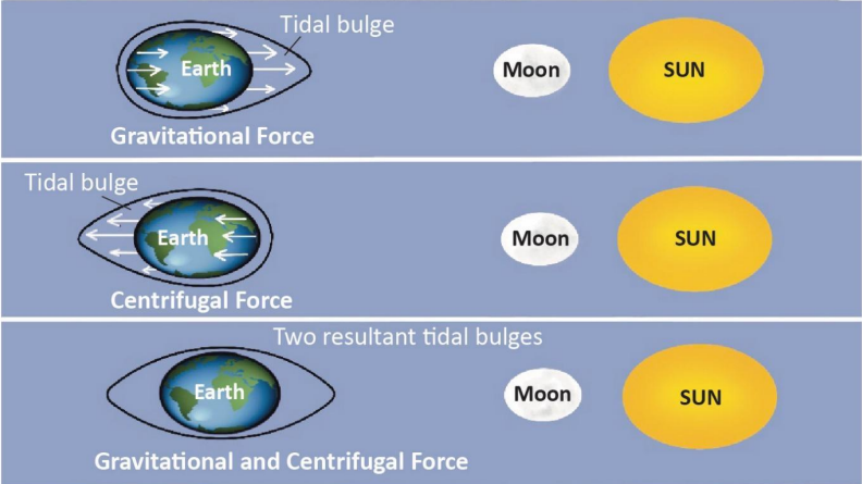 Movement of Ocean Water – Tides
