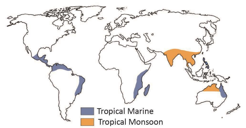 Tropical Monsoon and Tropical Marine Climates